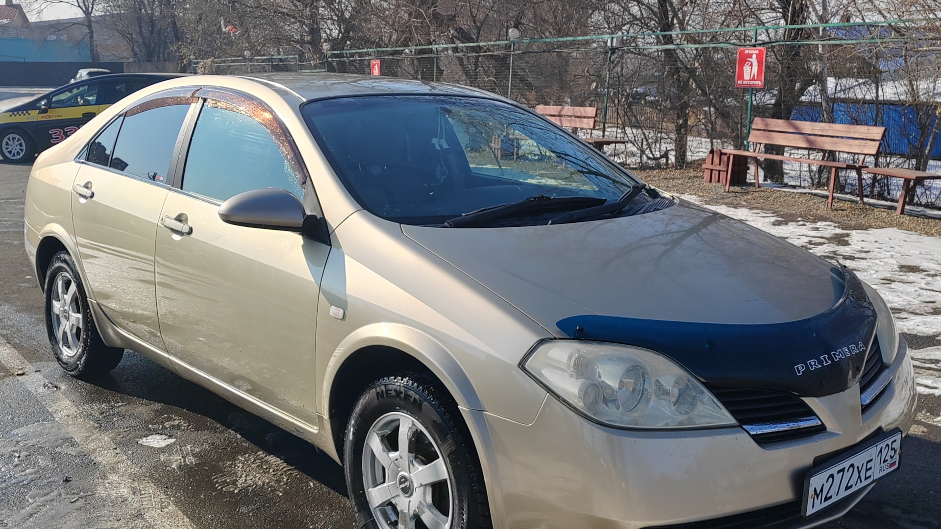 Nissan Primera (P12) 2.5 бензиновый 2001 | 2.5 на DRIVE2