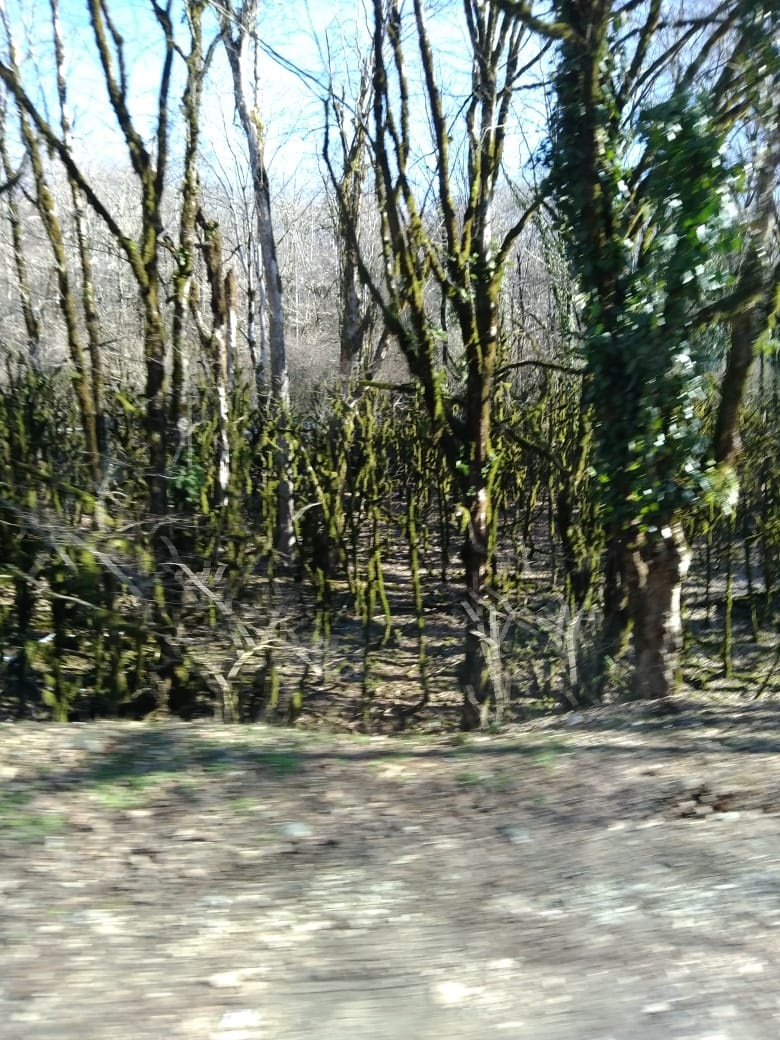 WHT001386 Кольцо уплотнительное (232) VAG | Запчасти на DRIVE2