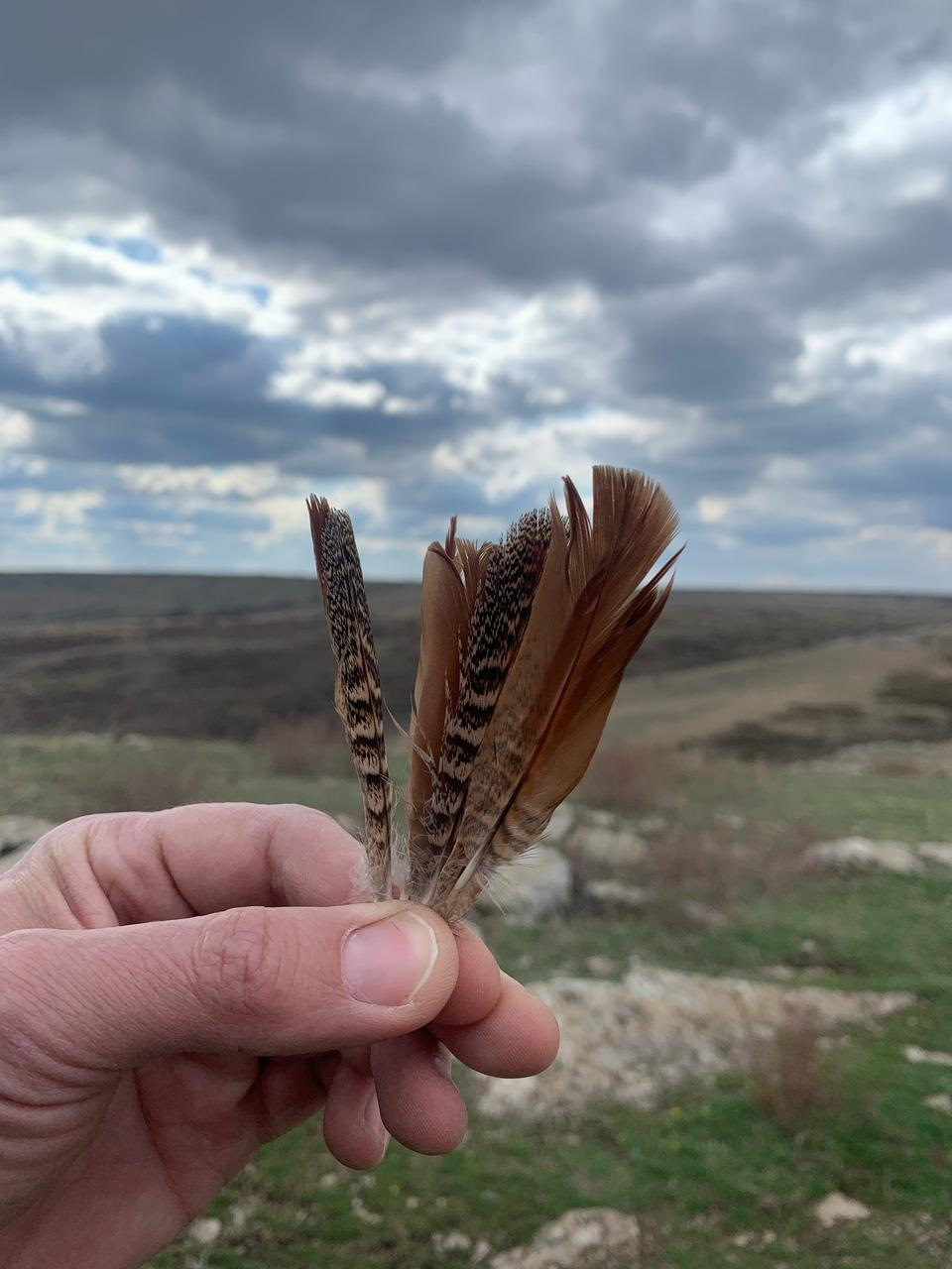 Фото в бортжурнале УАЗ Patriot