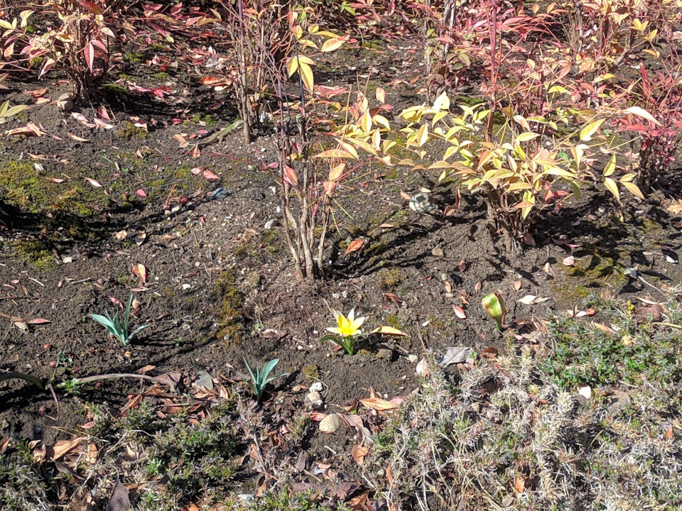 Найди! — Nissan Qashqai (2G)