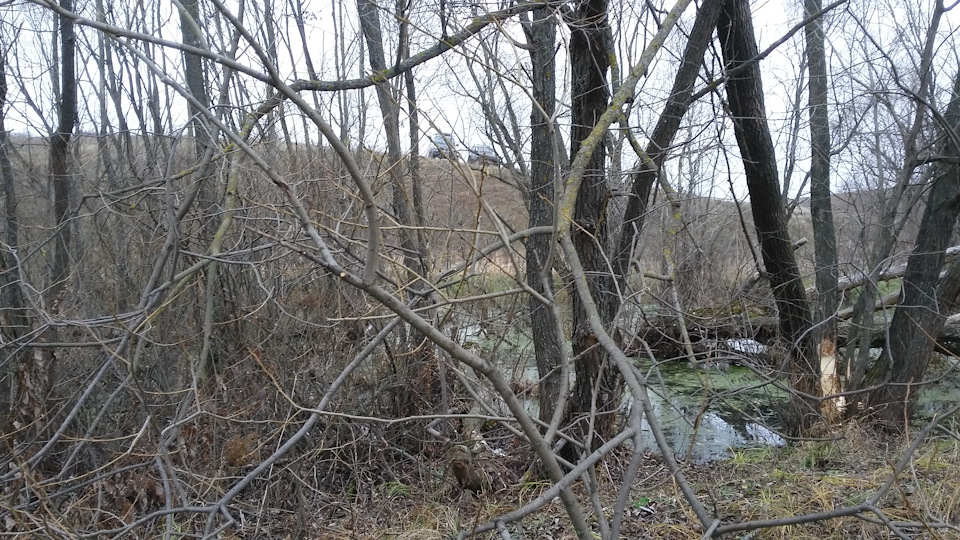 араповские пещеры в тульской области история. 3uAAAgC8seA 960. араповские пещеры в тульской области история фото. араповские пещеры в тульской области история-3uAAAgC8seA 960. картинка араповские пещеры в тульской области история. картинка 3uAAAgC8seA 960. Для поездки мы выбрали День России с расчётом на то, что поток желающих спуститься под землю будет послабее. И действительно первые полчаса мы были под землёй совершенно одни. А потом подъехали ещё две машины, одна из которых была из 123 региона. Вот это да! Из Краснодарского края люди приехали. араповские пещеры в тульской области история. 3uAAAgC8seA 960. араповские пещеры в тульской области история фото. араповские пещеры в тульской области история-3uAAAgC8seA 960. картинка араповские пещеры в тульской области история. картинка 3uAAAgC8seA 960. Для поездки мы выбрали День России с расчётом на то, что поток желающих спуститься под землю будет послабее. И действительно первые полчаса мы были под землёй совершенно одни. А потом подъехали ещё две машины, одна из которых была из 123 региона. Вот это да! Из Краснодарского края люди приехали.