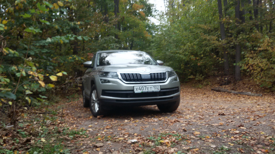 Датчики TRMS на Коди — Skoda Kodiaq, 2 л, 2018 года | запчасти | DRIVE2