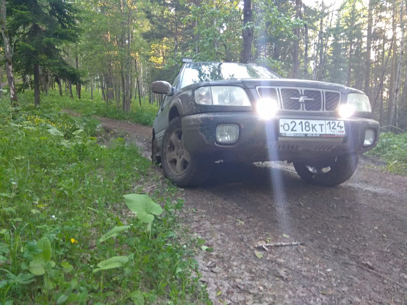 Выезд в лес и очередная поломка мкпп — Subaru Forester (SF), 2,5 л, 2000  года | покатушки | DRIVE2