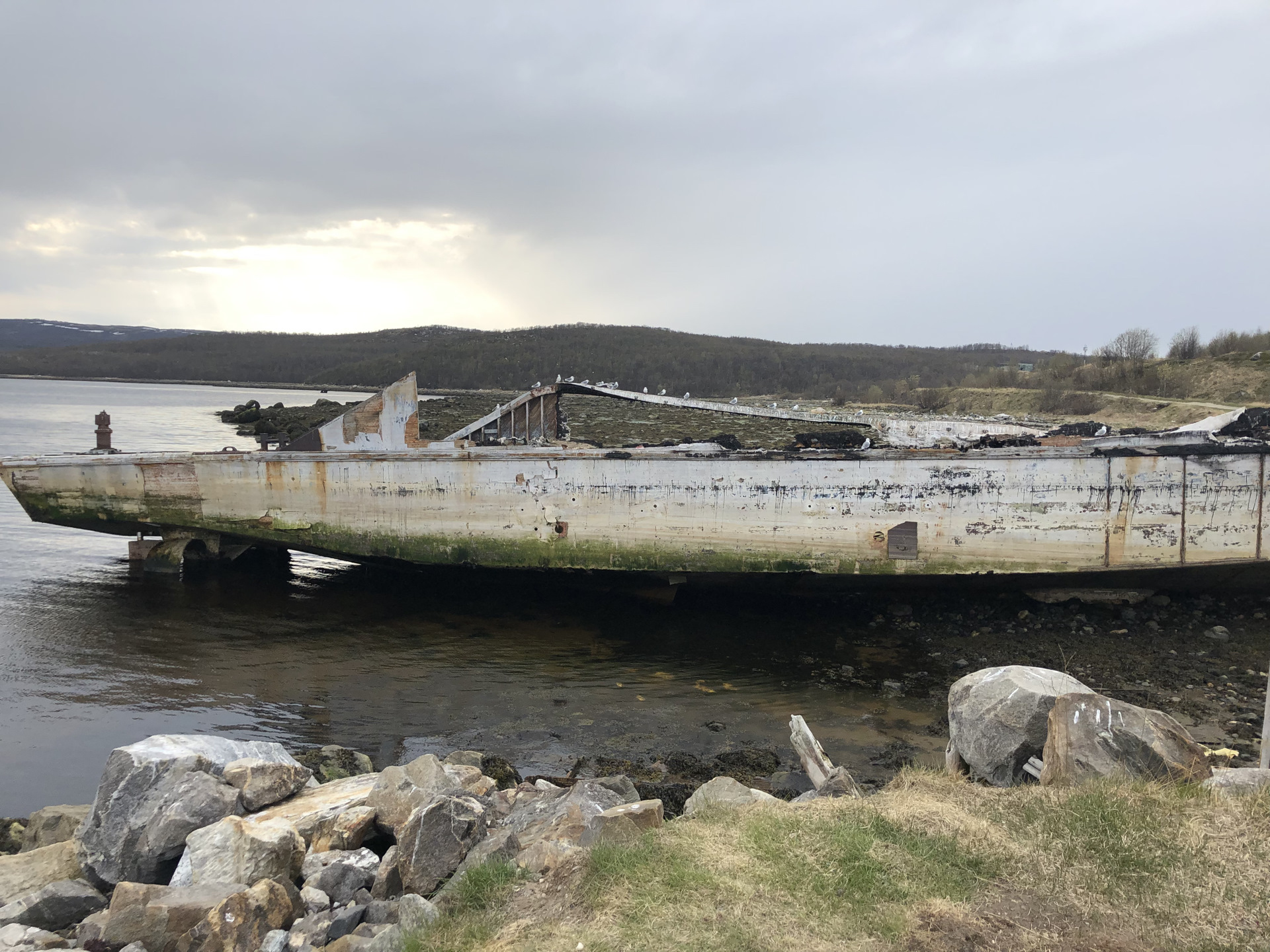 Погода в ура губе мурманской. Ура-губа Мурманская область. Ура губа Мурманск. Село ура губа Мурманская область. Пляж ура губа Мурманск.