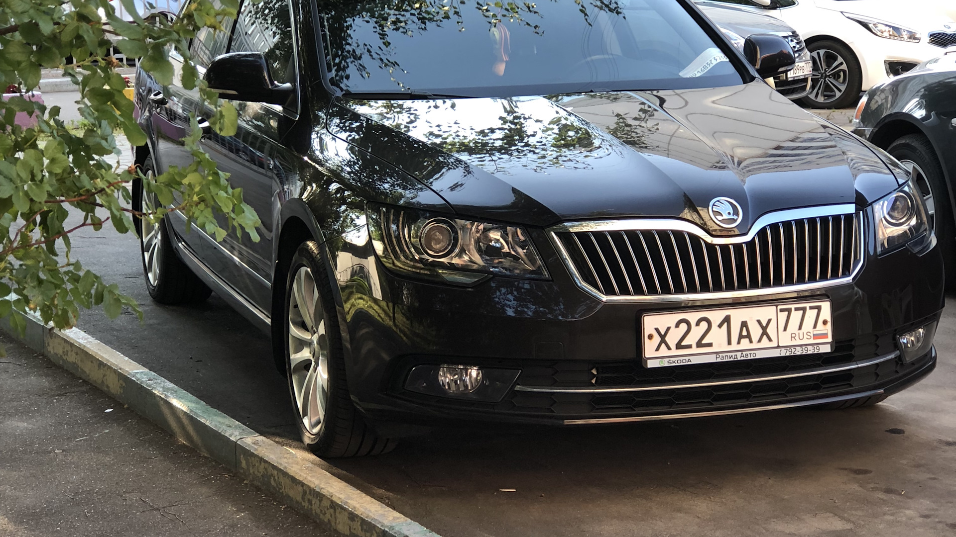 Skoda Superb Mk2 1.8 бензиновый 2014 | Породистый СУБ из Квасин на DRIVE2