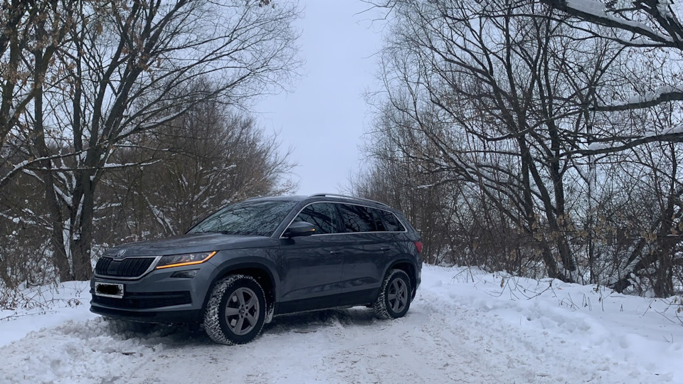 Присадка в дизель — Skoda Kodiaq (1G), 2 л, 2019 года | расходники | DRIVE2