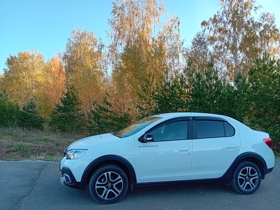 Фото в бортжурнале Renault Logan Stepway