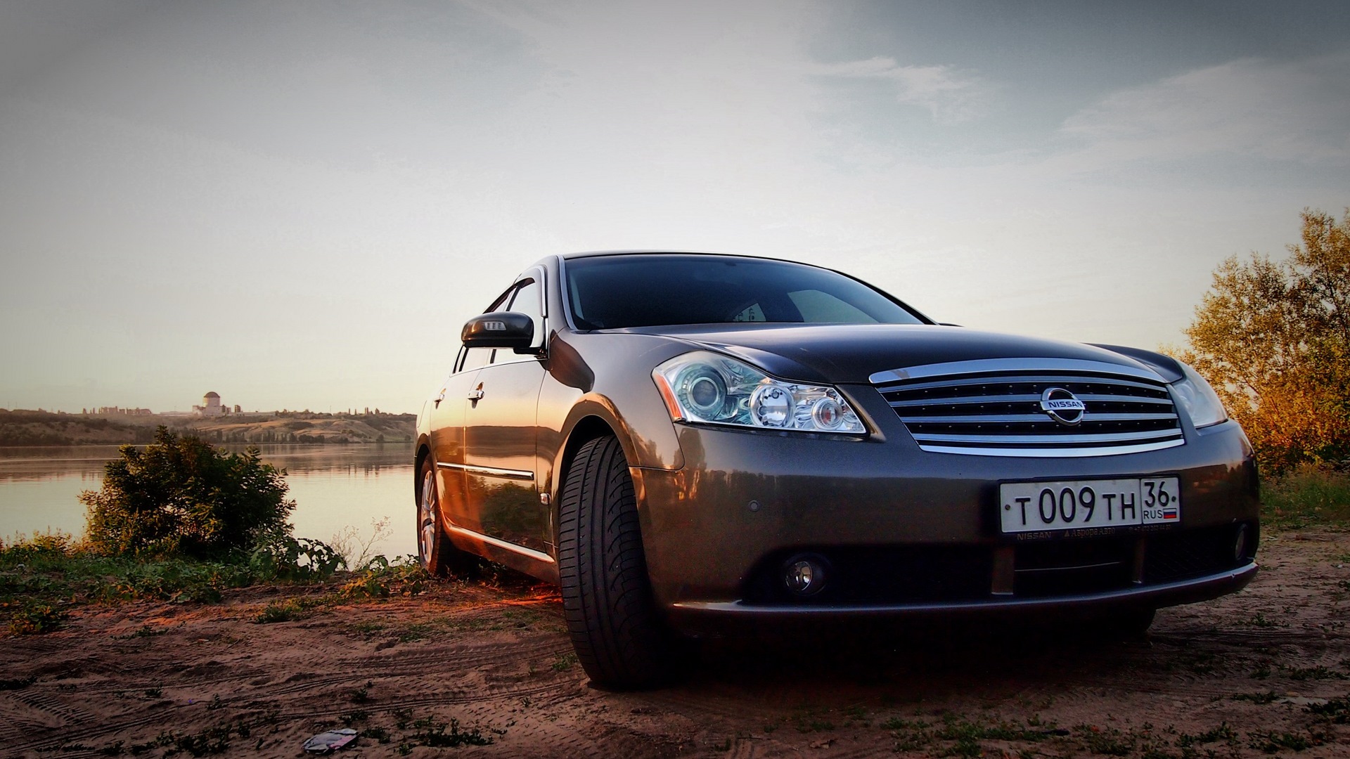 Nissan Fuga y51 на stance