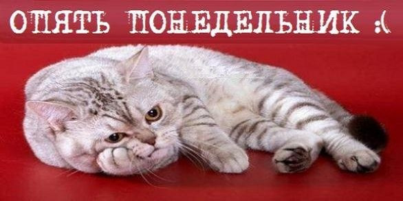 Прикольные картинки о боже опять понедельник, дня картинки