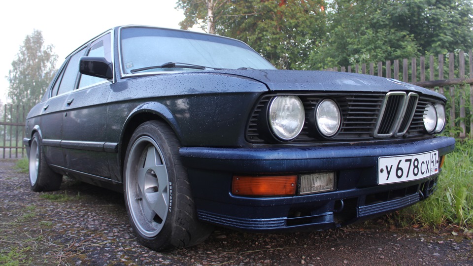 BMW 5 series shark classic