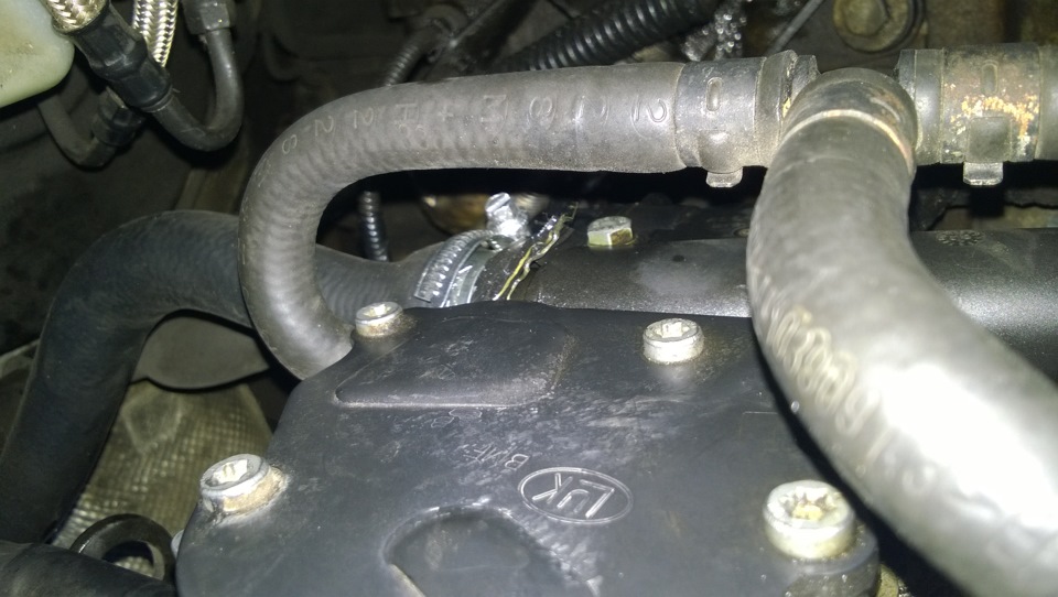 Подтекает из под патрубка ОЖ! — Volkswagen Golf Mk4, 1,9 л, 2002 года ...