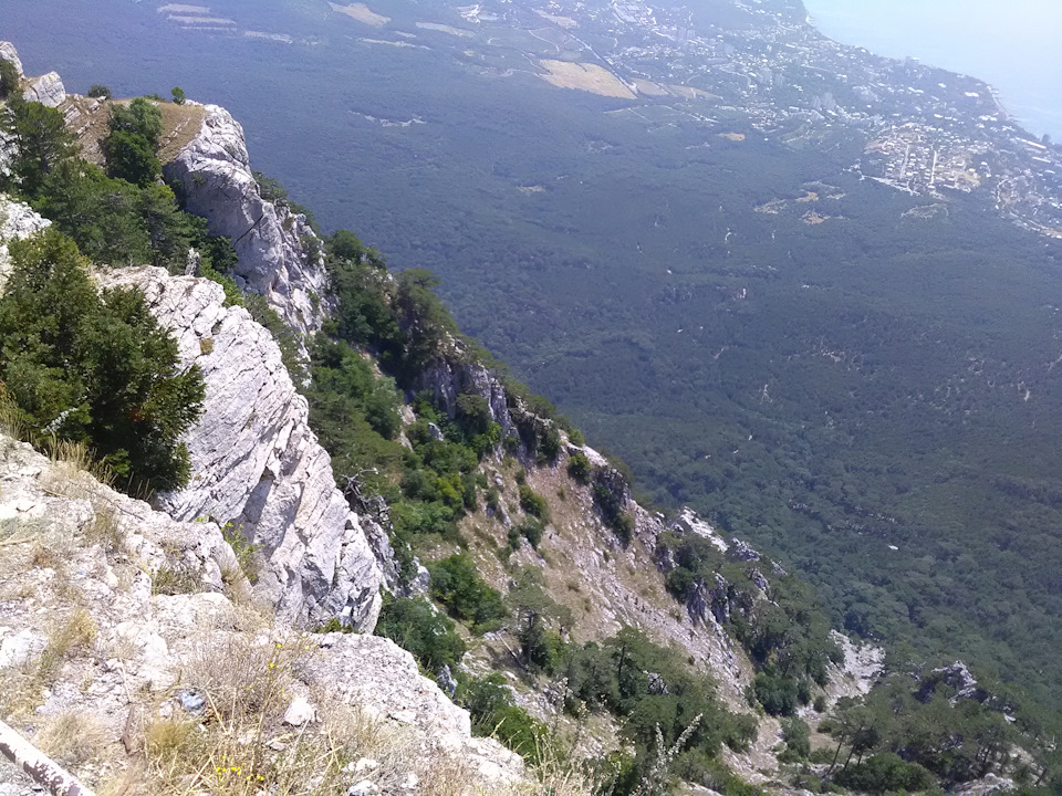 Photo from the logbook Lada Largus Cross