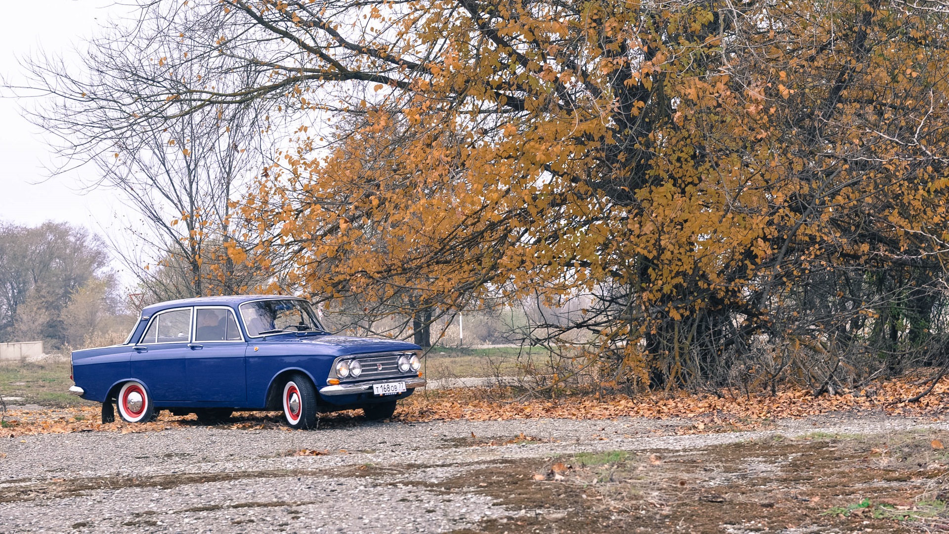 Москвич 408 бензиновый 1968 | Юбилейный на DRIVE2