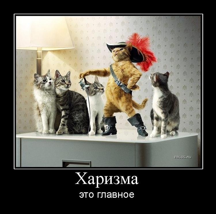 Я смешной я харизматичный мем
