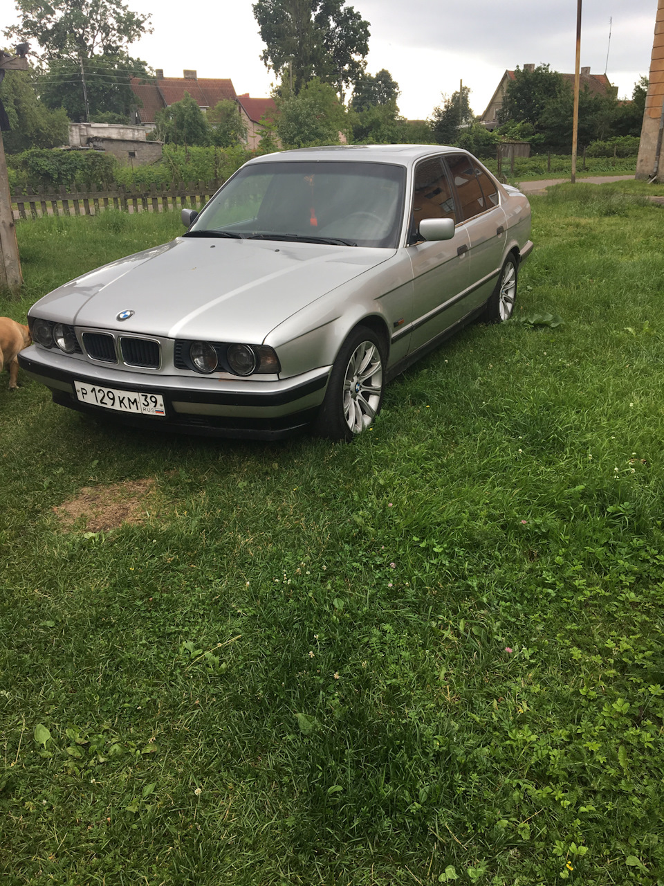 Диагноз — желтые глаза. — BMW 5 series (E34), 2,5 л, 1994 года ...