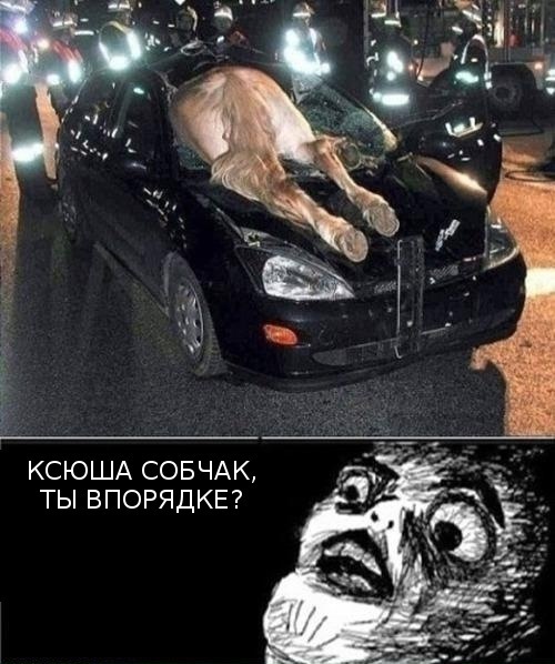 А при скольки градусах запускался ваш форд? — Ford Focus I Sedan, 1,8 л ...