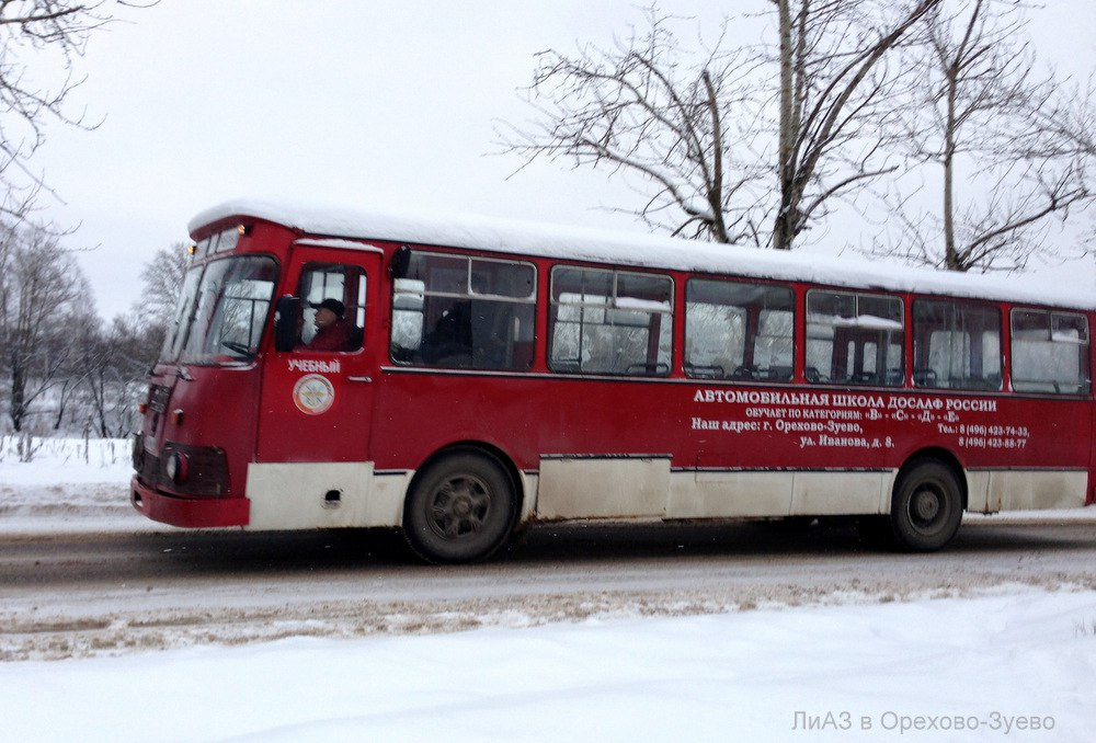 Автобус красное орехово зуево