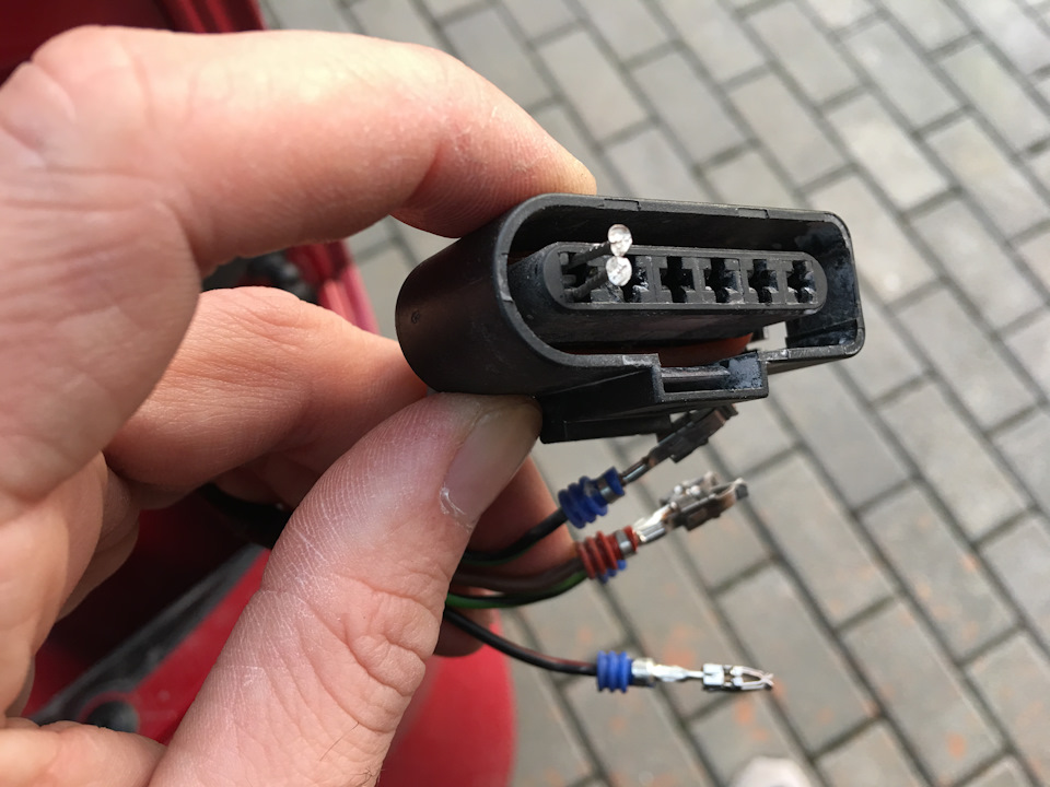 Распиновка задней оптики VW T5 — Volkswagen Caravelle (T5), 1,9 л ...