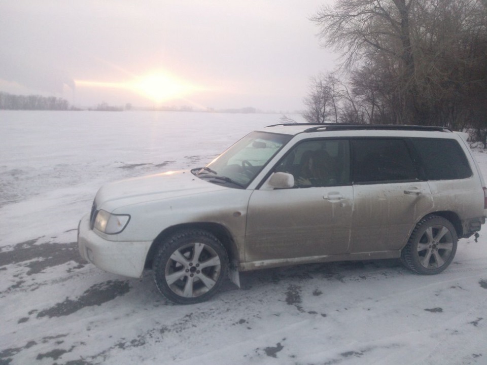 выгулял форестера — Subaru Forester (SF), 2 л, 2000 года | фотография ...