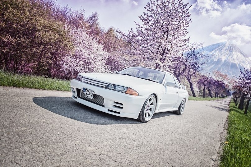 Nissan Skyline Sakura