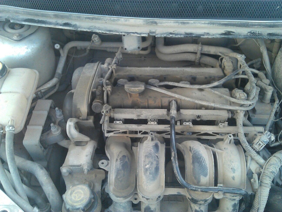 Прокладка клапаной крышки — Ford Focus Hatchback II, 1,6 л, 2006 года ...