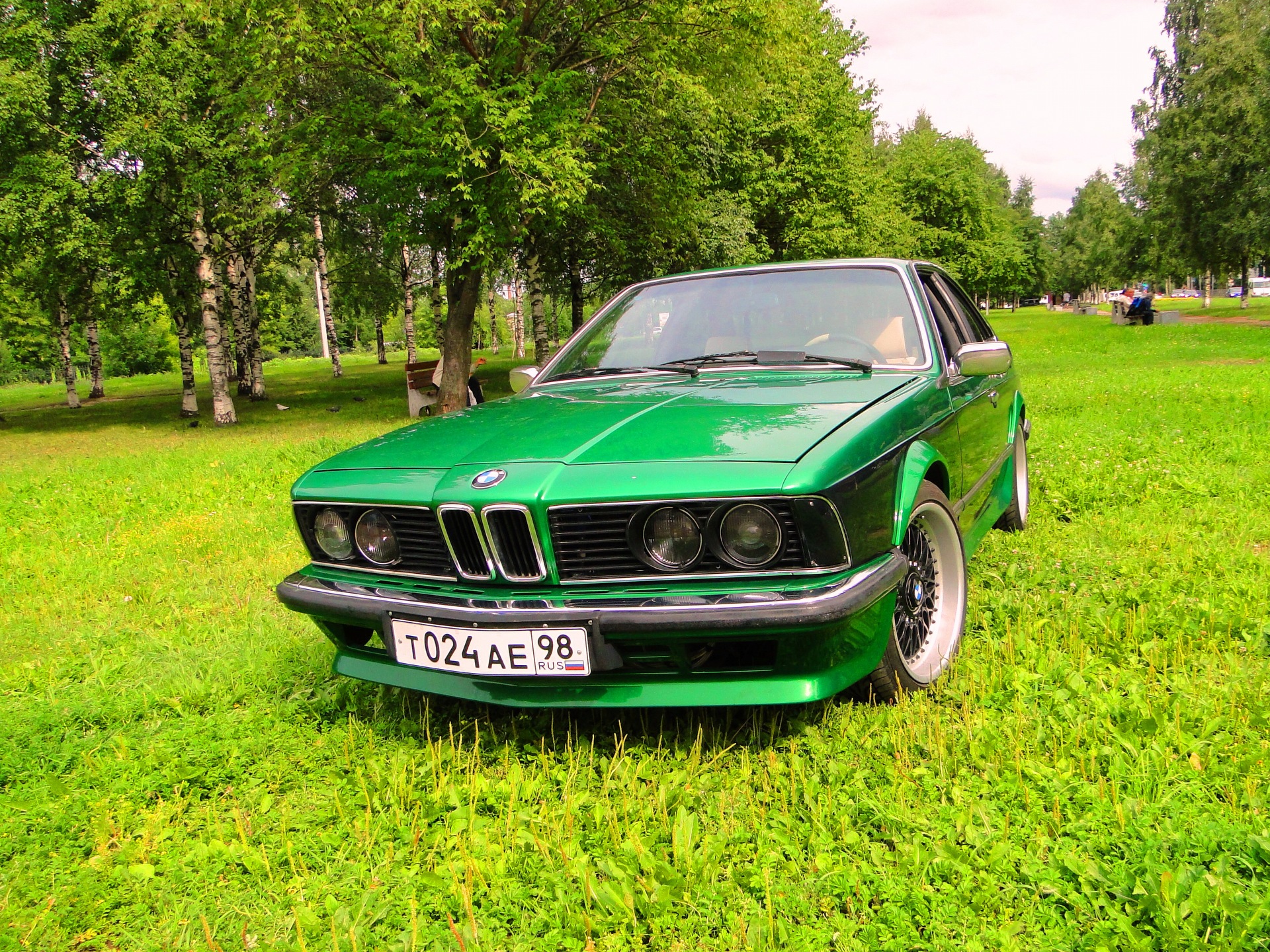 Зеленка на зеленом))) — BMW 6 series (E24), 2,8 л, 1983 года | наблюдение |  DRIVE2