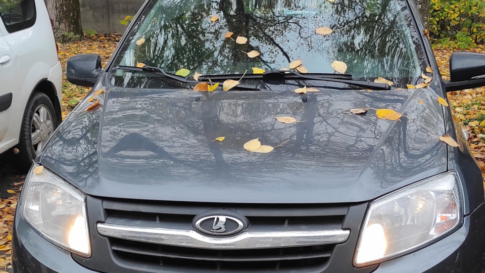 Вопрос о тормозах: передний суппорт — Lada Гранта (1G), 1,6 л, 2018 ...