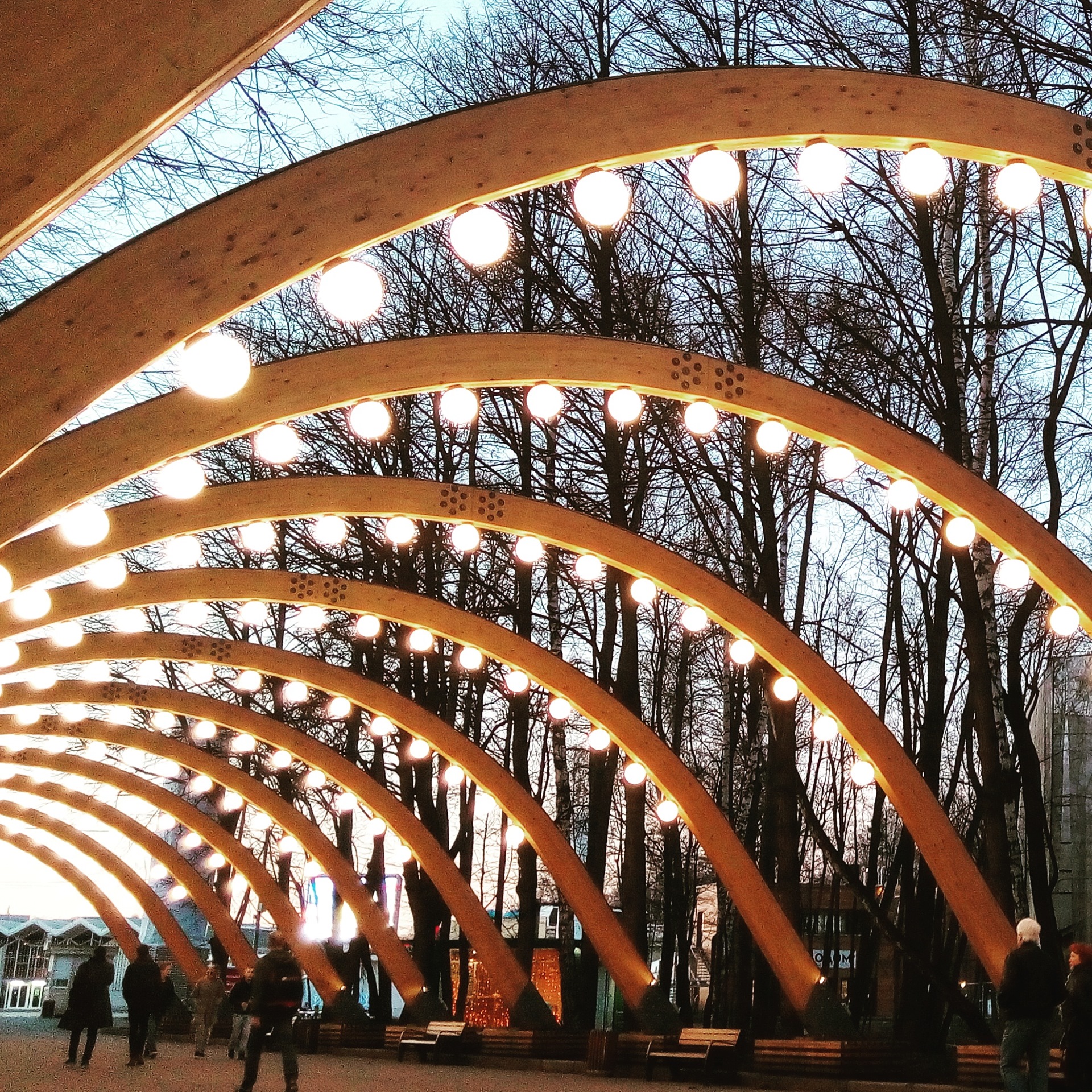 Сокольники. Парк Сокольники Москва. Cokkoльники в парке Сокольники. Парк Сокольники сейчас. Парк Сокольники Архитектор.