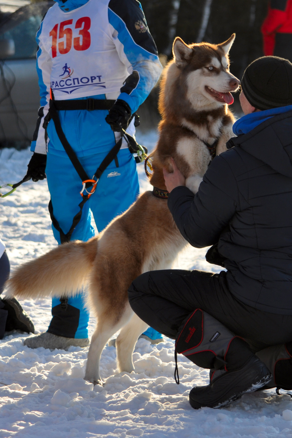 Хозяин, мажь лыжи уже — Jeep Grand Cherokee (ZJ)