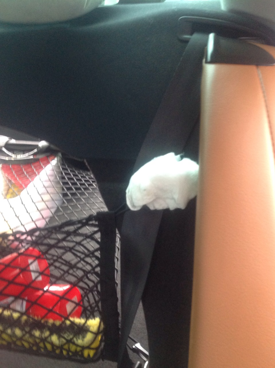 Сверчки в салоне! Не не слышал) — Volkswagen Passat CC, 1,8 л, 2011 ...