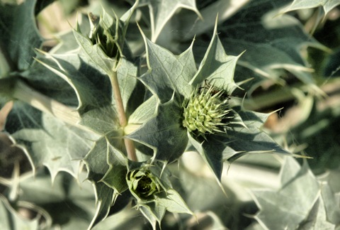 Фото в бортжурнале Mitsubishi L200 (4G)