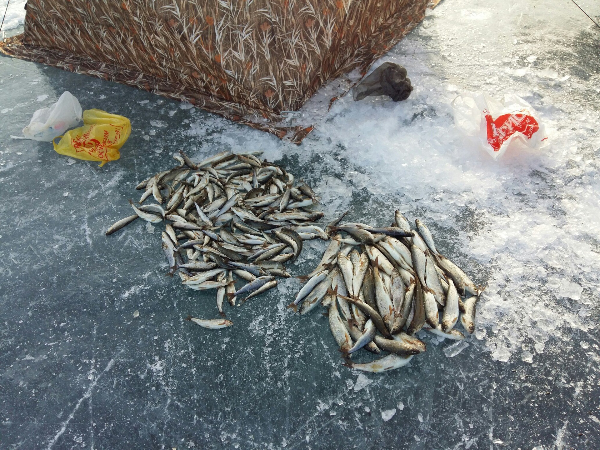 Байкальская рыбалка зима