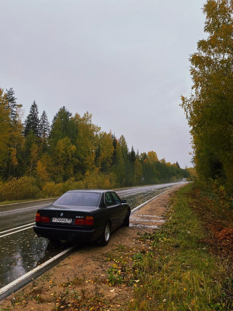 Вспоминая осень… Неочевидные маршруты Мск-СПб. — BMW 5 series (E34), 2 л,  1994 года | путешествие | DRIVE2