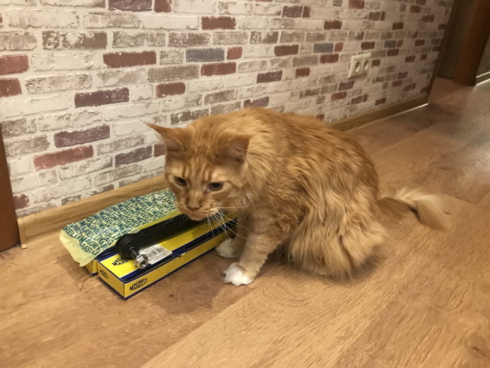 Стойки СПУ — это Вам не кот начихал ;) — Jeep Renegade, 1,4 л, 2018 ...