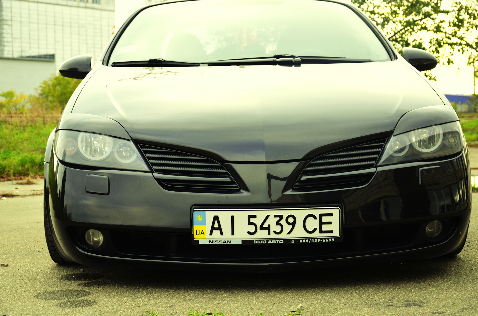 Чернение оптики - Nissan Primera (P12), 2 л, 2004 года стайлинг DRIVE2