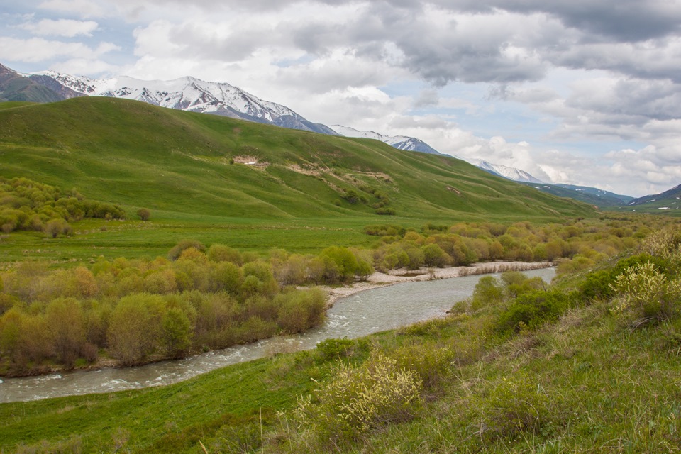 Фото в бортжурнале Mercedes-Benz G-Class (W460/W461)