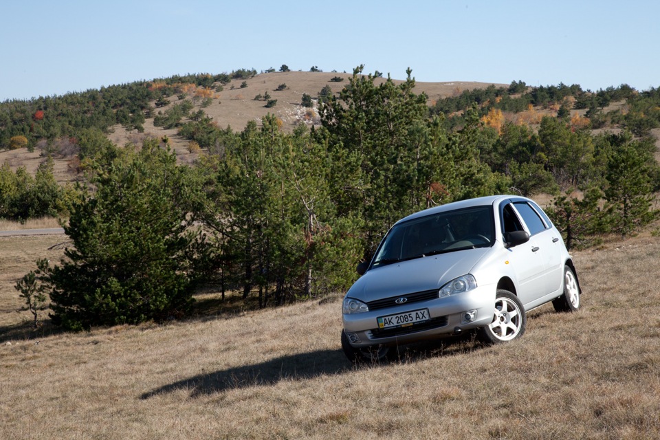 Lada Kalina Getz. Калина хэтчбек 1 в поле. Калина 8 года. Kalinka машина.