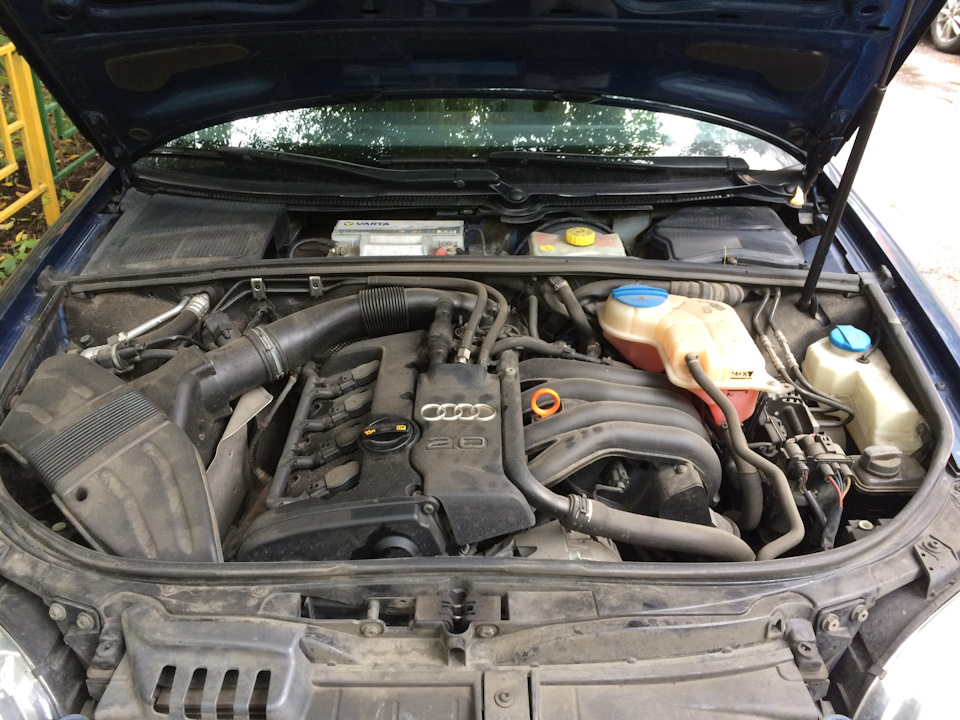 Пластик под капот — Audi A4 (B7), 2 л, 2006 года | тюнинг | DRIVE2