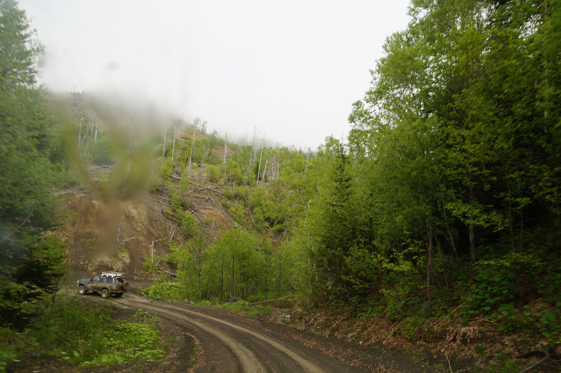 погода бошняково красноярского края
