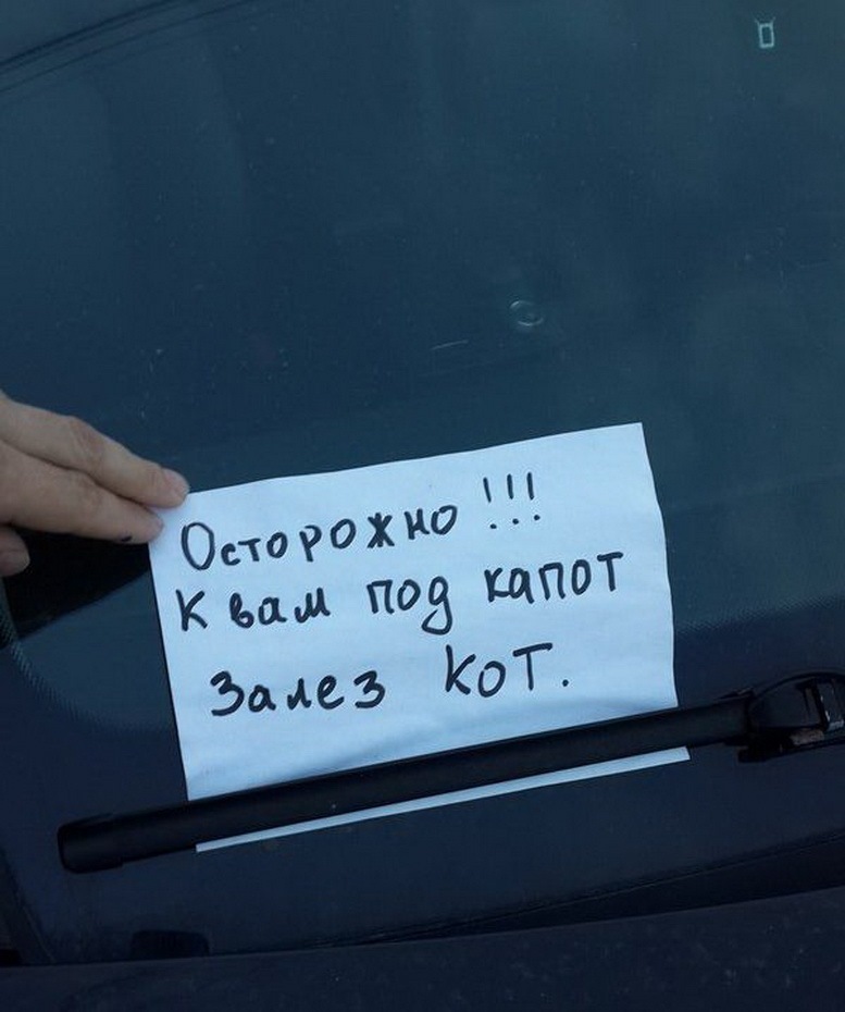 Залез под капот. Под капотом прикол. Залез под капот девушке. Кирпич с запиской на капоте.