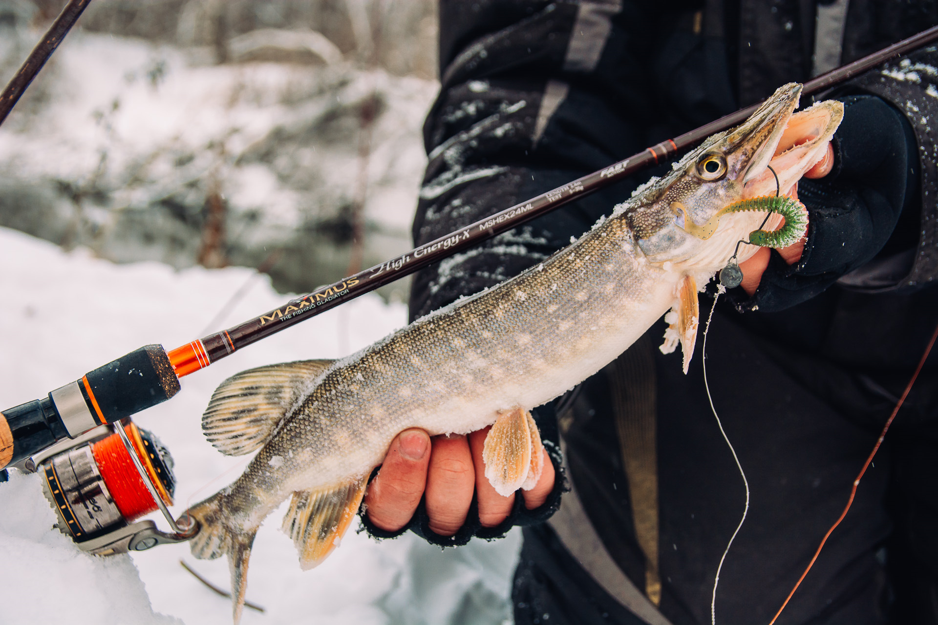 Лучшие спиннинги для ловли щуки. Рыбалка на щуку. Щука зимой. Рыбалка на щуку зимой. На что ловить щуку зимой.