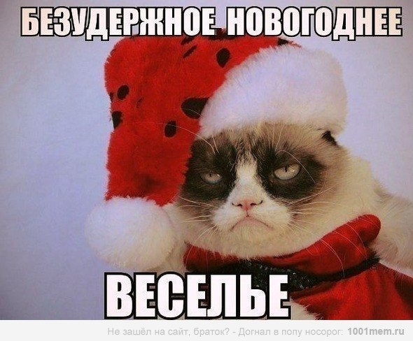 Новогодний мем 2 января