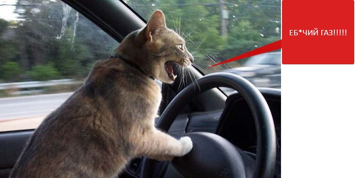 Прошу помочь советом! Туго и рывками ходит педаль газа. [РЕШЕНО ...