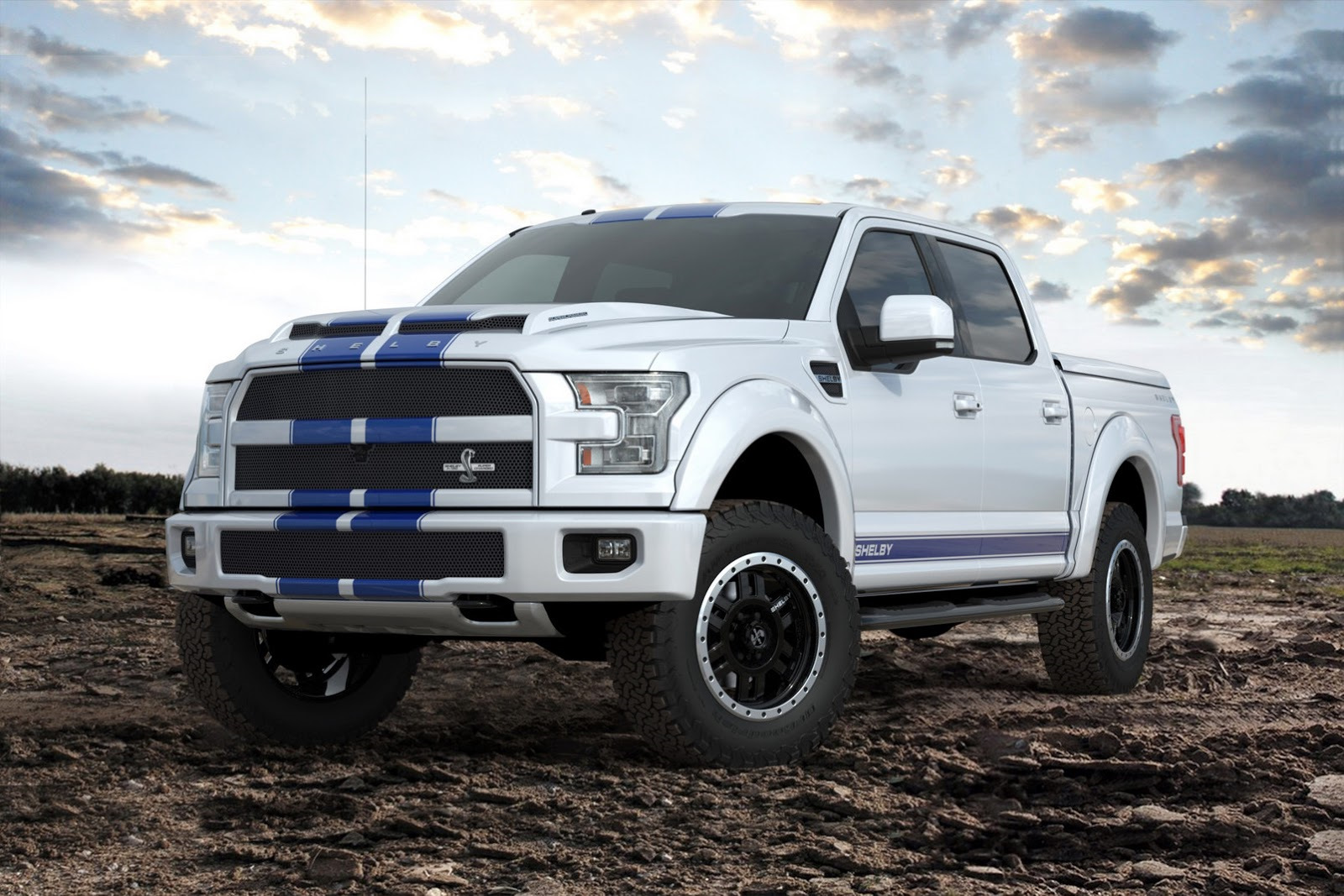 ford f150 shelby