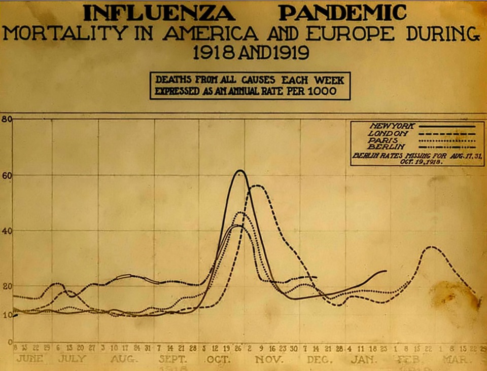an analysis of the 1918 influenza pandemic and the hidden secrets of a mass murderer an analysis of the 1918 influenza pandemic and the hidden secrets of a mass murderer