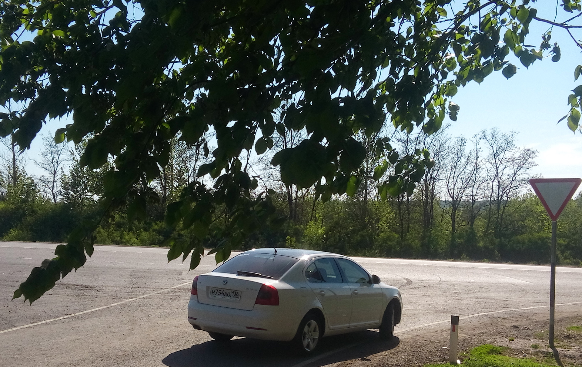 #37 — ППД OFF или RS пружины Lesjofors Часть №1 — Покупка — Skoda ...