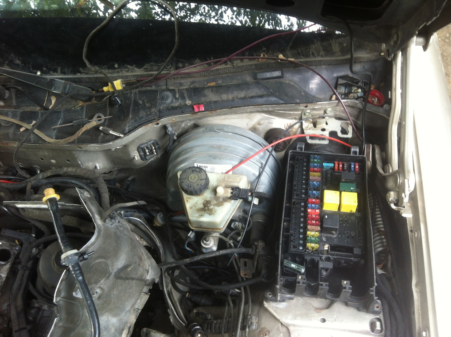 42e69f9s-1920.jpg