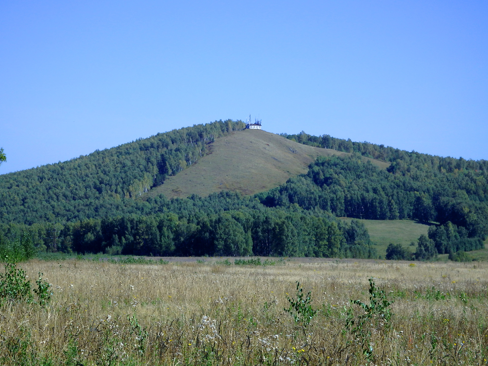 Гора мохнатая Алтайский край