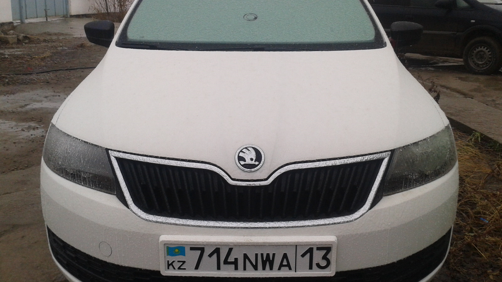 Skoda Rapid (1G) 1.6 бензиновый 2014 | WRS на DRIVE2