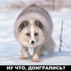 сисун американец биография я. Смотреть фото сисун американец биография я. Смотреть картинку сисун американец биография я. Картинка про сисун американец биография я. Фото сисун американец биография я